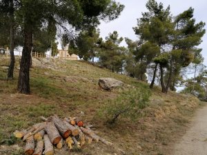 Lee más sobre el artículo Trabajos de restauración en el monte de la Ermita