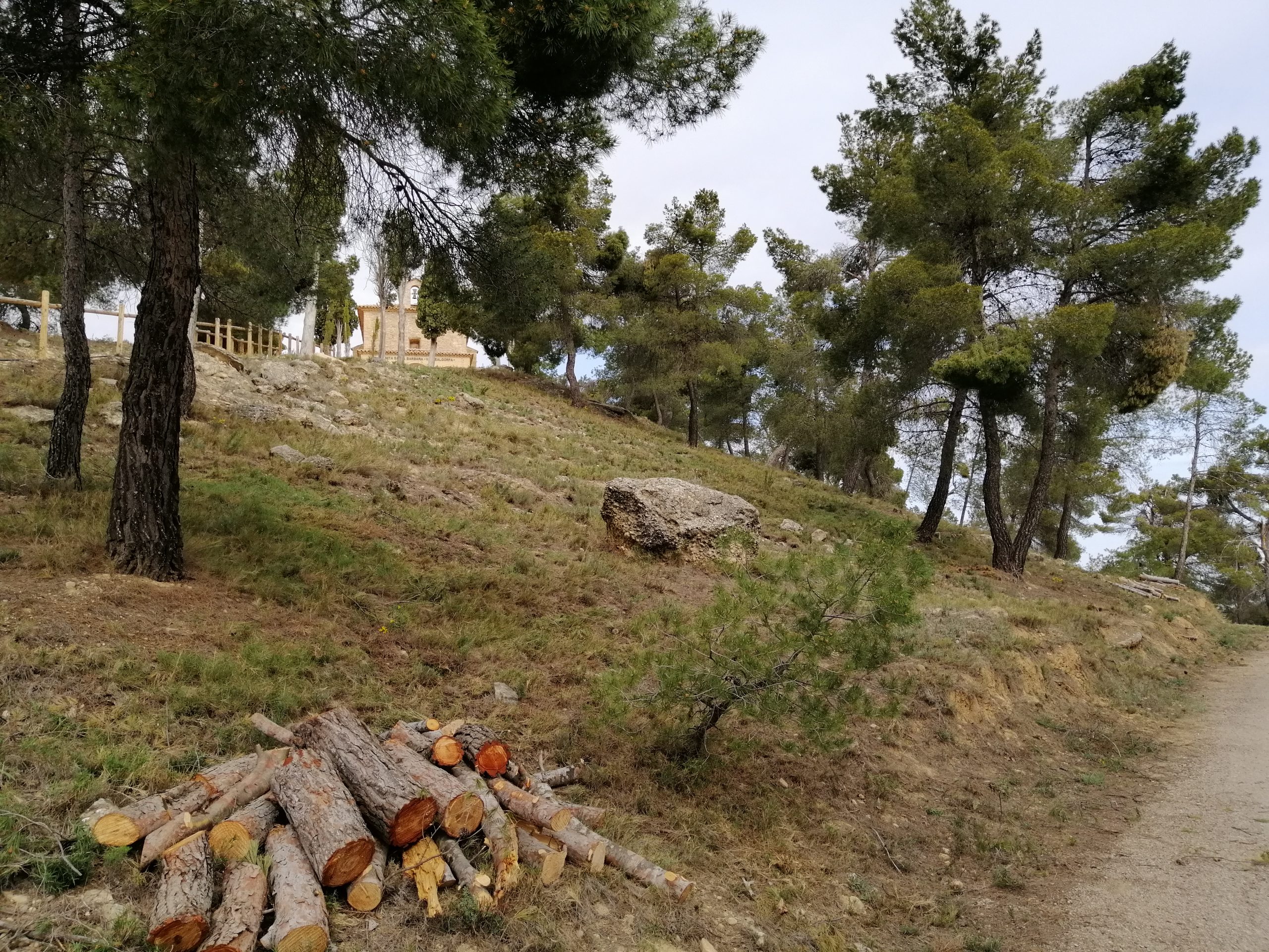 Lee más sobre el artículo Trabajos de restauración en el monte de la Ermita